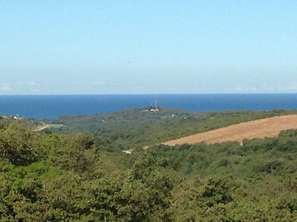 Bellavista *