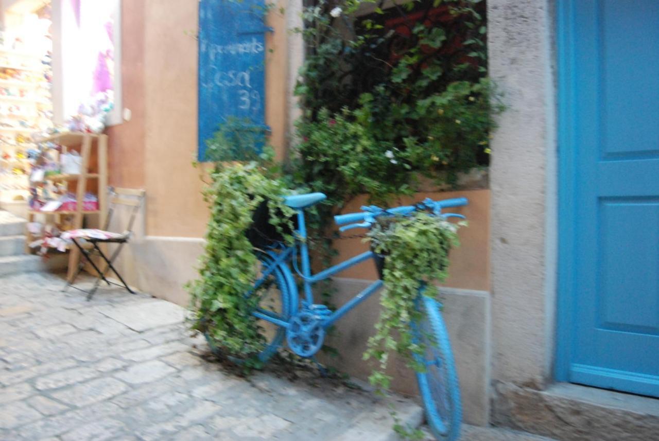Bellavista Appartement